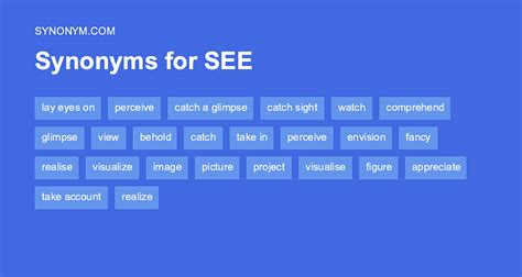 look through synonym|see through synonyms.